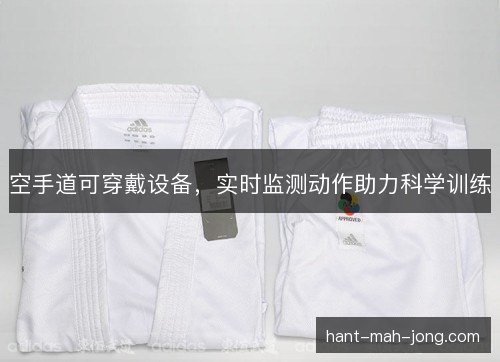 空手道可穿戴设备,实时监测动作助力科学训练 空手道可穿戴设备,实时监测动作助力科学训练